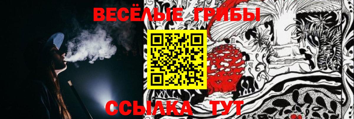 Галлюциногенные грибы Psilocybine cubensis  Галлюциногенные грибы MAGIC MUSHROOMS  Рассказово  Вход с VPN 